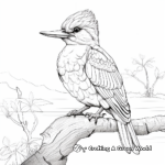 Focused Kingfisher Hunting Coloring Pages 3
