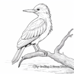 Focused Kingfisher Hunting Coloring Pages 4