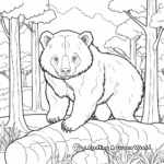 Forest Habitat Wombat Coloring Pages 1