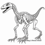 Fossilized Velociraptor Skeleton Coloring Pages 1