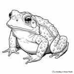 Fowler's Toad: North American Species Coloring Pages 2