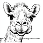 Friendly Camel Face Coloring Pages 2