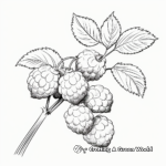 Fruiting Raspberry Plant Coloring Pages 4