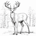 Full Antler Big Buck Coloring Pages 4