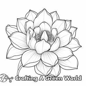Lotus For Adults Coloring Pages - Free & Printable!
