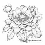 Full Bloom Lotus Coloring Pages for Adults 4