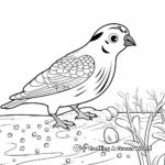 Fun Quail Eating Seeds Coloring Page 2