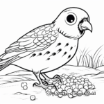 Fun Quail Eating Seeds Coloring Page 3