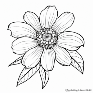 Fun Zinnia Autumn Flower Coloring Pages 3