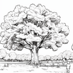 Georgia Pecan Trees Coloring Pages for Kids 2