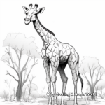 Giraffe's Long Neck Adaptation Coloring Pages 1