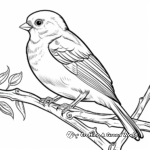 Gleaming Goldfinch Coloring Pages 4