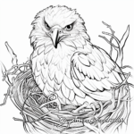Golden Eagle Nesting Coloring Pages 1