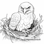 Golden Eagle Nesting Coloring Pages 2