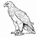 Golden Eagle Side-Profile Coloring Pages 3