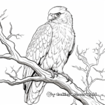 Golden Eagle Watching from Tree Coloring Pages 2