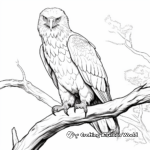 Golden Eagle Watching from Tree Coloring Pages 4