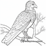 Golden Pheasant Coloring Pages for Adults: Detailed Design 3