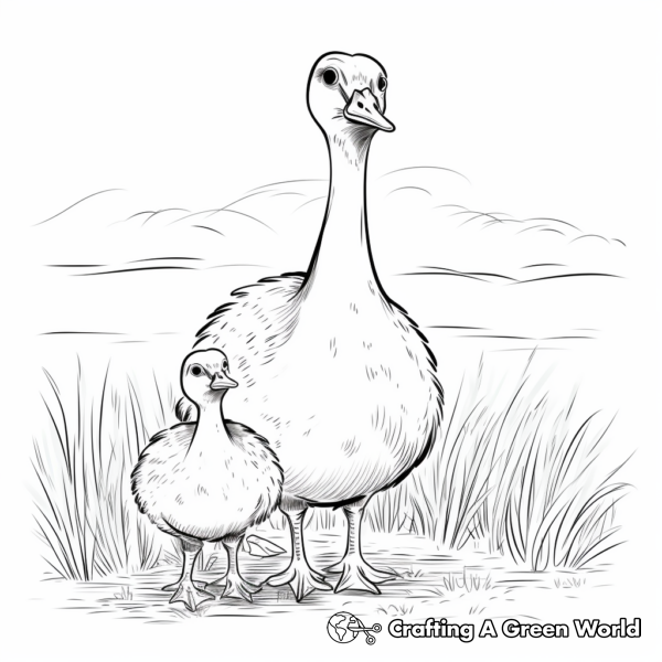 Goose Coloring Pages - Free & Printable!