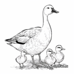 Goose Family Coloring Pages: Male, Female, and Goslings 4