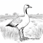 Goose in the Wild: Wetlands-Scene Coloring Pages 1