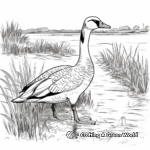 Goose in the Wild: Wetlands-Scene Coloring Pages 3