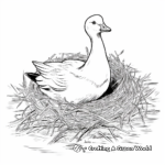 Goose Nesting Season Coloring Pages 1