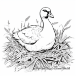 Goose Nesting Season Coloring Pages 2