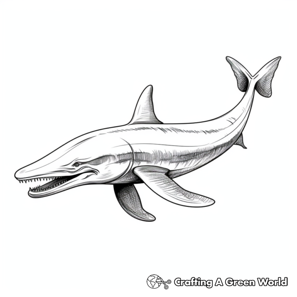 Gorgeous Blue Whale Coloring Pages 1