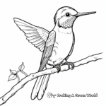 Gorgeous Broad-Tailed Hummingbird Coloring Sheets 1