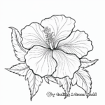 Gorgeous Hibiscus Flower Coloring Pages 1
