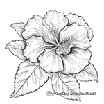 Gorgeous Hibiscus Flower Coloring Pages 4