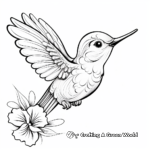 Gorgeous Hummingbird and Butterfly Coloring Pages 2