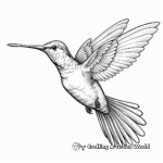 Gorgeous Hummingbird and Butterfly Coloring Pages 3