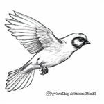 Graceful Sparrow in Flight Coloring Pages 4