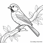 Gray-Headed Chickadee: Birdwatcher's Coloring Pages 1