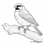 Gray-Headed Chickadee: Birdwatcher's Coloring Pages 3