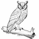 Great Horned Owl Features Diagram Coloring Pages 2