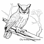 Great Horned Owl Features Diagram Coloring Pages 3