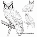 Great Horned Owl in Different Angles Coloring Pages 1