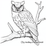 Great Horned Owl in Different Angles Coloring Pages 4