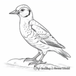 Great Spotted Woodpecker Coloring Pages 1