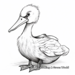 Hand-drawn Artistic Pelican Coloring Pages 1