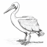 Hand-drawn Artistic Pelican Coloring Pages 2