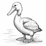 Hand-drawn Artistic Pelican Coloring Pages 4
