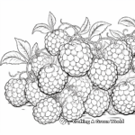 Hand-Drawn Raspberry Coloring Pages 3
