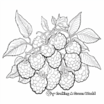 Hand-Drawn Raspberry Coloring Pages 4