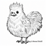 Hand Drawn Silkie Chicken Coloring Page 2