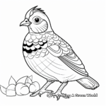 Harlequin Quail Coloring Pages for Kids 1
