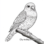 High Detail Budgie Coloring Pages for Adults 1